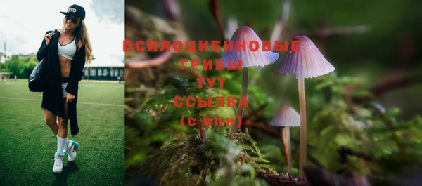 PSILOCYBIN Ростов
