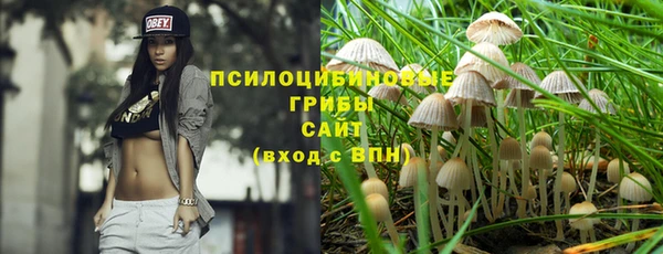 прущие грибы Россошь
