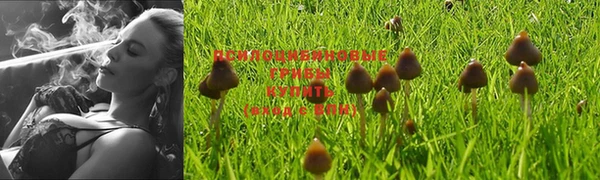 твердый Волосово